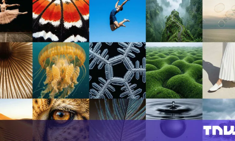 Collage of diverse images: ballerina, butterfly, jumper, mountains, bubbles, mushroom, jellyfish, snowflake, moss hills, skirt, desert, eye, feather, water drop, clouds.