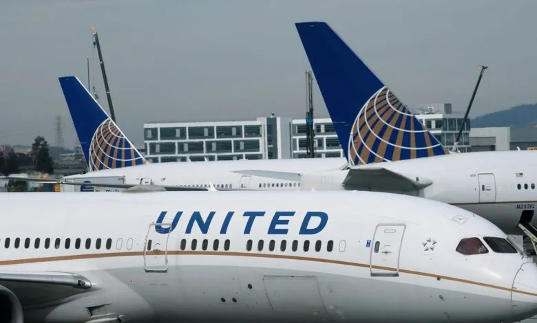 Two United Airlines planes parked at an airport, showing their tails.