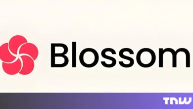 Blossom Health secures $20M for AI psychiatry copilots