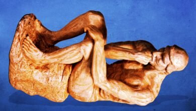 Ig Nobel Prize ceremony relocates to Europe amid safety fears