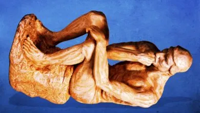 Ig Nobel Prize ceremony relocates to Europe amid safety fears