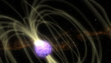 Illustration of a pulsar with a purple cracked surface and glowing magnetic field lines.
