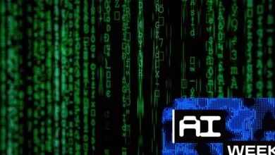 AI’s Impact on Coding Efficiency