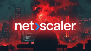 Netscaler logo over a coder in front of a cityscape with red lighting.