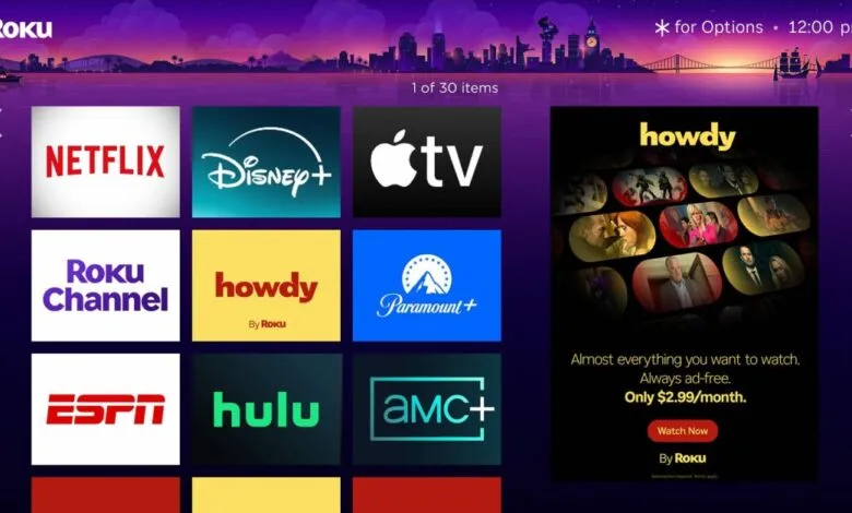 Roku home screen with streaming apps like Netflix, Disney+, and a Howdy promotion.
