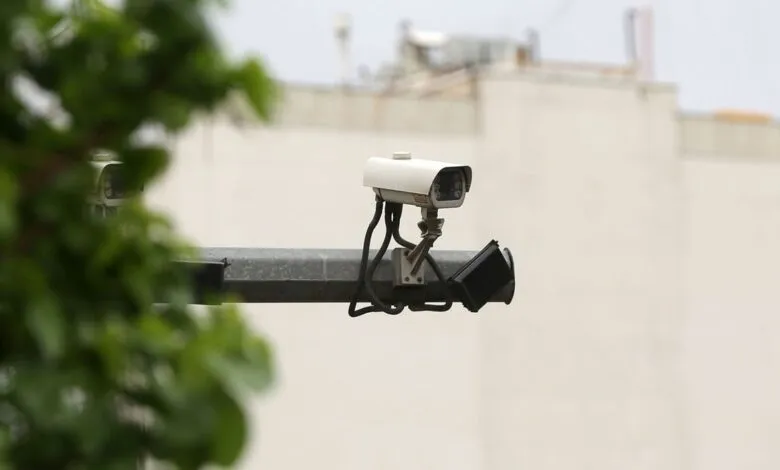 Security camera mounted on pole, partially obscured by foliage.