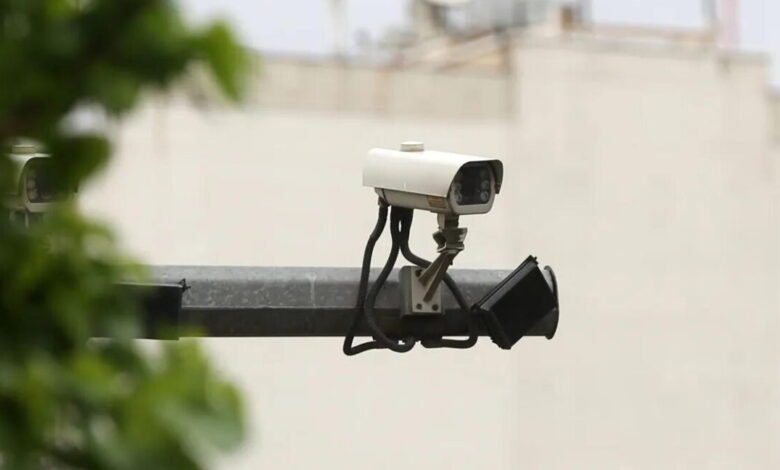 Outdoor security camera mounted on pole, partially obscured by foliage.