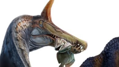 Spinosaurus with fish in its mouth, detailed illustration.