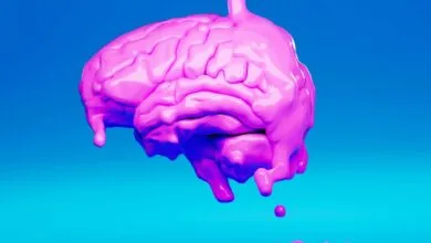 Brain-Powered Data Center Demands Daily Fluid Changes