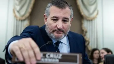 Ted Cruz at Senate hearing, looking down at his nameplate.