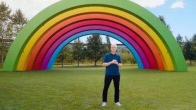 Tim Cook stands before a large rainbow structure on a green lawn.