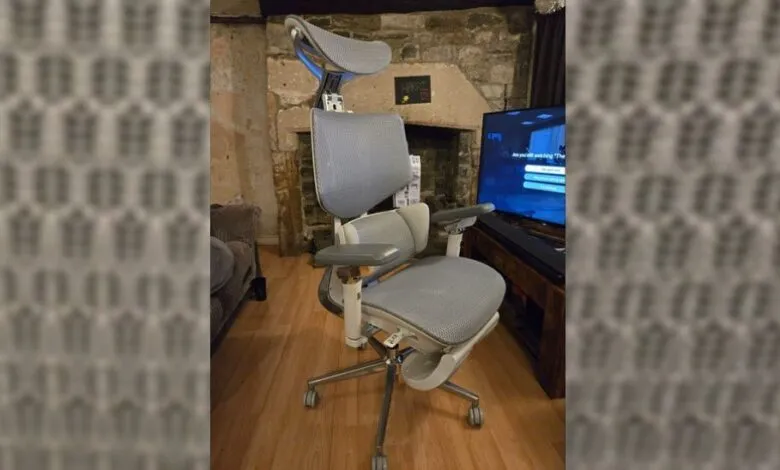 Ergonomic office chair with headrest and adjustable arms in a living room setting.