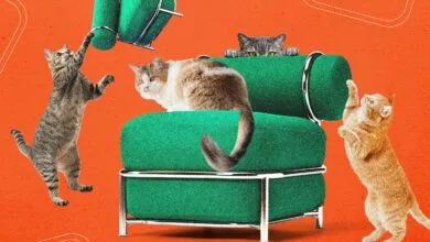 Four cats interact with a green chair on an orange background.