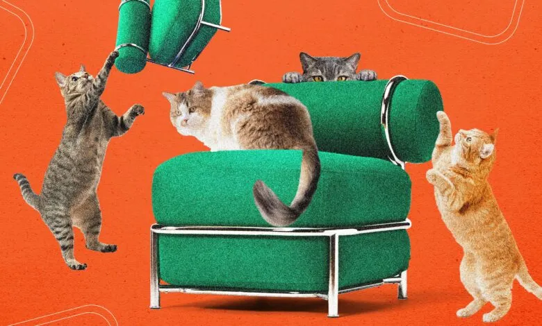 Four cats interact with a green chair on an orange background.