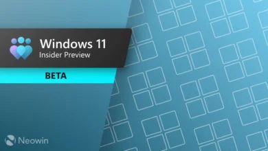 Windows 11 Insider Preview BETA logo on a blue patterned background.