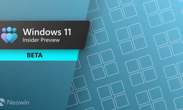 Windows 11 Insider Preview BETA logo on a blue patterned background.
