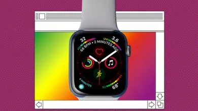 Close-up of an Apple Watch face displaying health and fitness data.