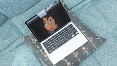 Laptop on floral pillow displays digital art of a woman's face.