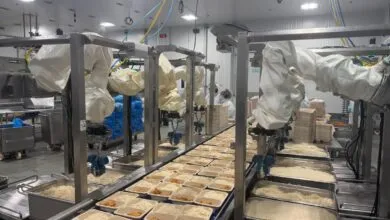 Automated food production line with robots filling meal containers with rice.