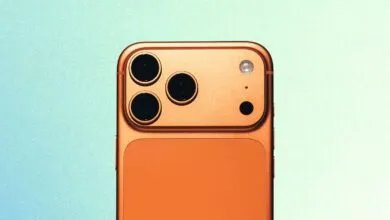 iPhone Repairability Score: D–