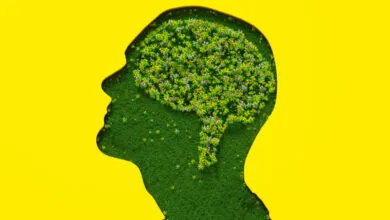 Silhouette of head with floral brain on grass background.