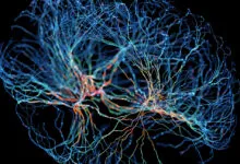 Abstract brain illustration with glowing neural network connections.
