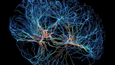 Abstract brain illustration with glowing neural network connections.