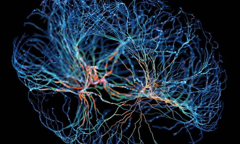 Abstract brain illustration with glowing neural network connections.