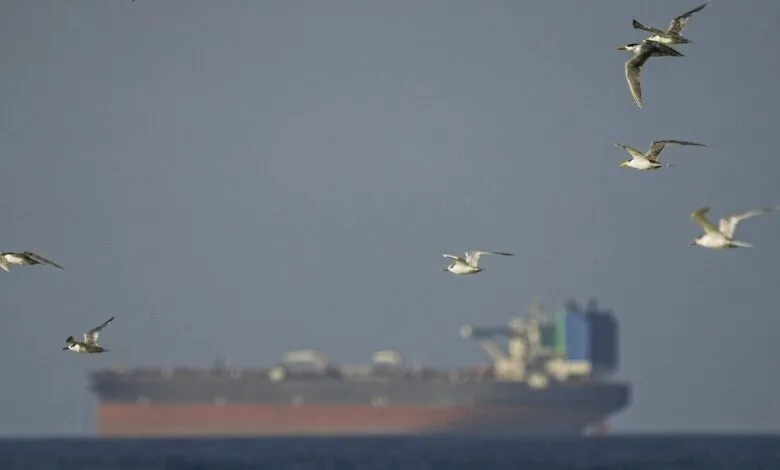 Several terns fly over the ocean with a blurred cargo ship in the background.
