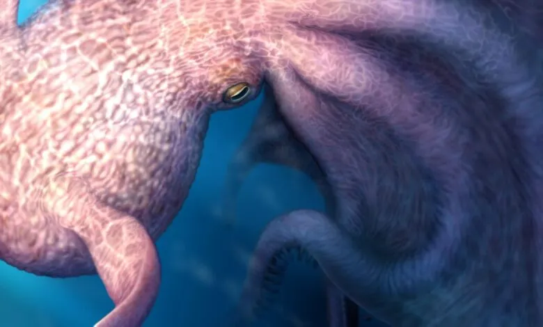 Close-up of a pink and purple octopus in blue water.