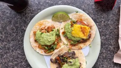 Overhead shot of three tacos with various fillings on a light green plate.