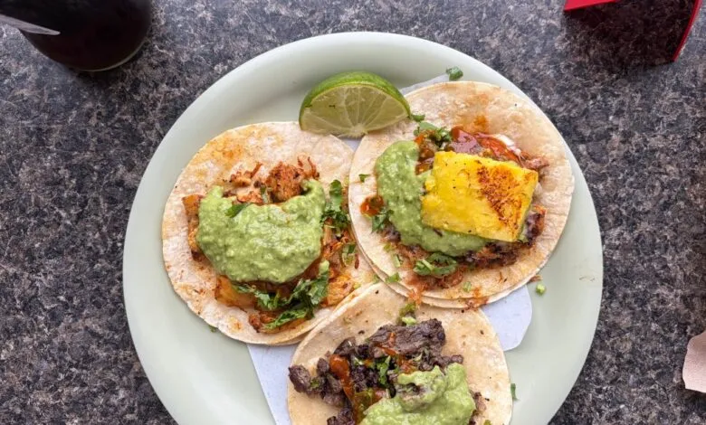 Overhead shot of three tacos with various fillings on a light green plate.