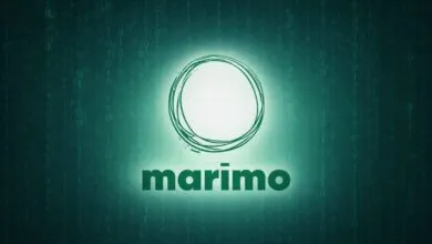 Marimo logo against a digital background of green binary code.