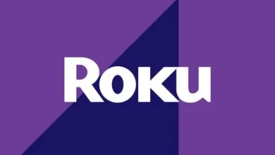 Roku logo in white against a purple geometric background.