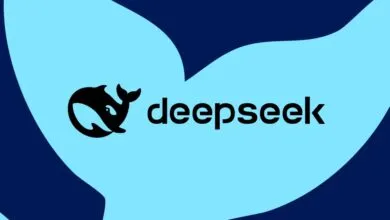 Deepseek logo featuring a stylized whale and the company name.