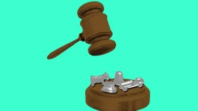 Trump Administration’s Antitrust Honeymoon Ends