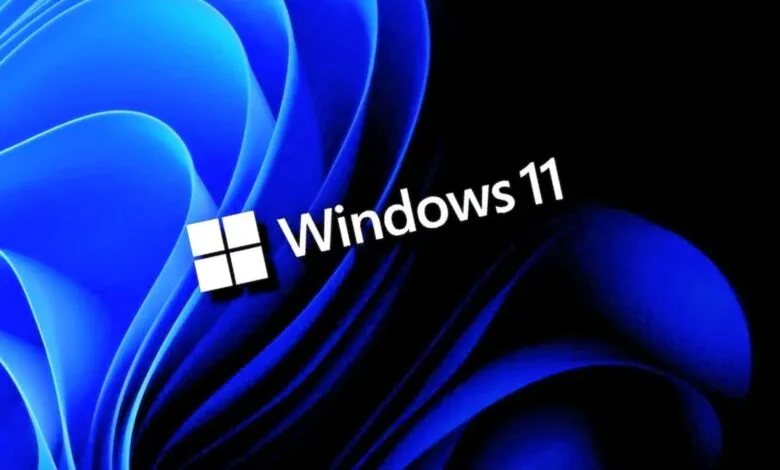 Windows 11 logo with blue abstract background and white text.