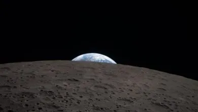 Earthrise seen from the moon's surface, a blue and white planet rising over the gray lunar horizon.