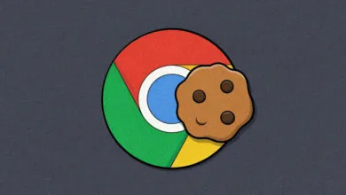 Chrome logo with a chocolate chip cookie overlayed on the right side.