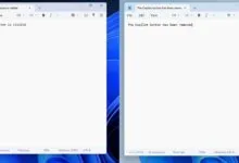 Two Notepad windows showing Copilot button visible and removed.