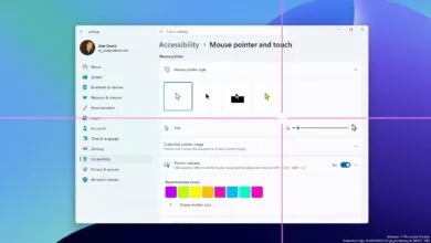 Windows 11 Accessibility settings showing mouse pointer customization options.