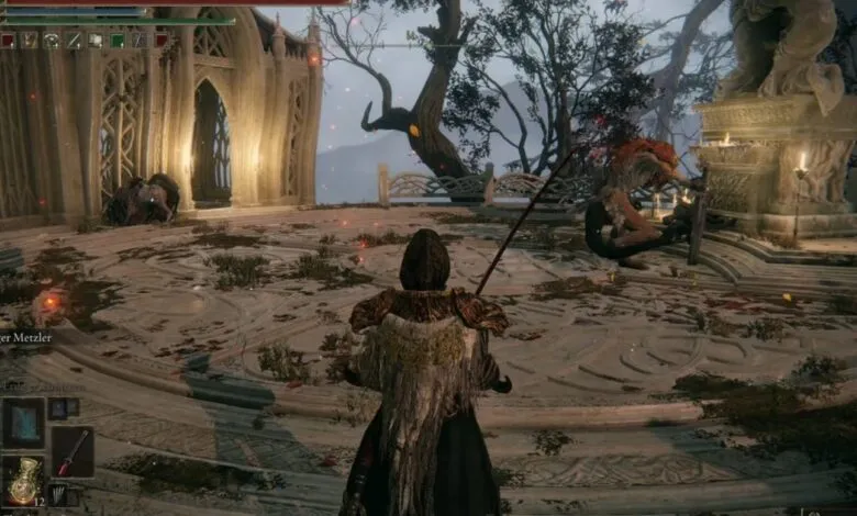 Elden Ring player faces a Lesser Leonine Misbegotten in Haligtree.