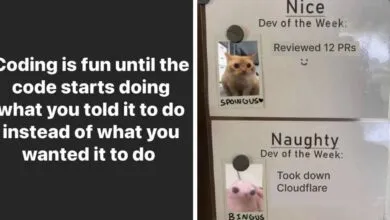 Funny coding meme with 'Nice' and 'Naughty' developer awards featuring cat and blob.