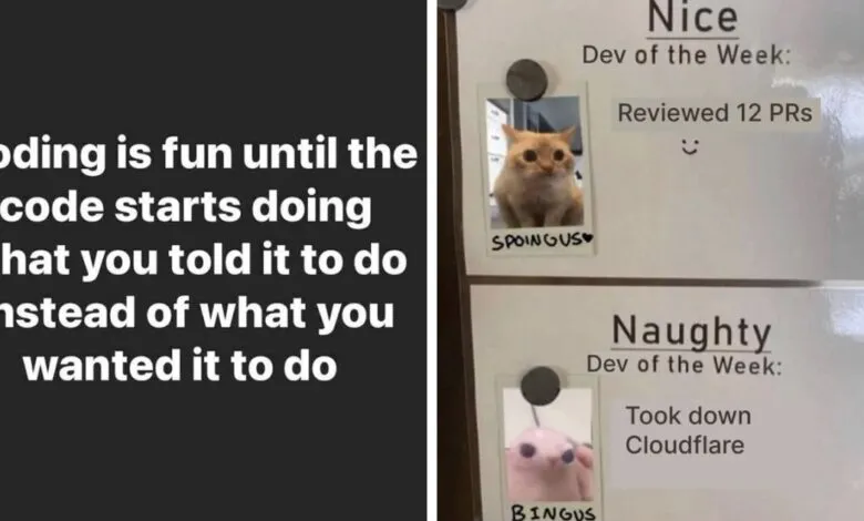 Funny coding meme with 'Nice' and 'Naughty' developer awards featuring cat and blob.