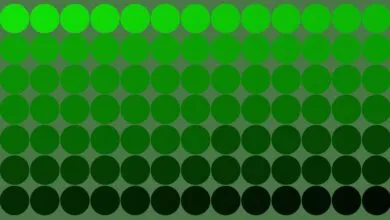 Rows of green circles, gradient from light to dark.