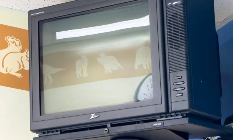 Vintage Zenith Healthview TV displaying animal silhouettes.