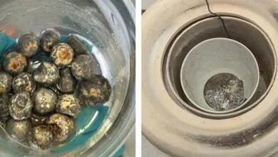 Lead bullets in water and molten metal in a crucible inside a furnace.