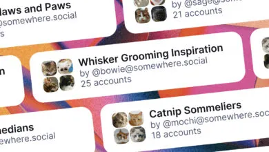 Mastodon collections featuring cats: grooming, paws, and catnip.