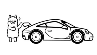 Cartoon alpaca admires sleek sports car, outlined in black and white.