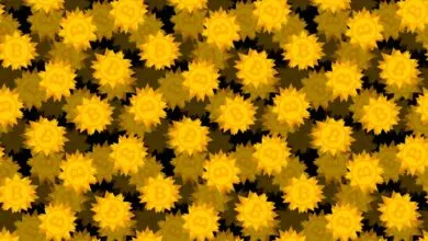 Pattern of golden Bitcoin symbols resembling suns on a dark background.